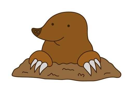 single cute brown mole emerging from underground soil mound
