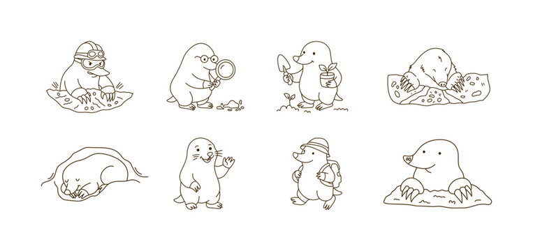 Collection Of Eight Cute Mole Characters In Different Poses