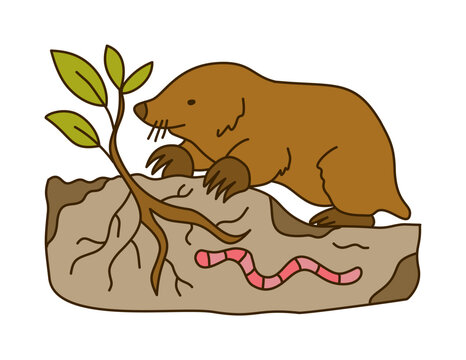 Mole Crawling On Soil With Plant Roots And Earthworm