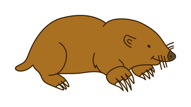 Brown Mole Crawling Side View With Long Sharp Claws