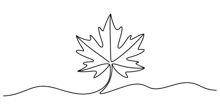 Single continuous line drawing of a maple leaf
