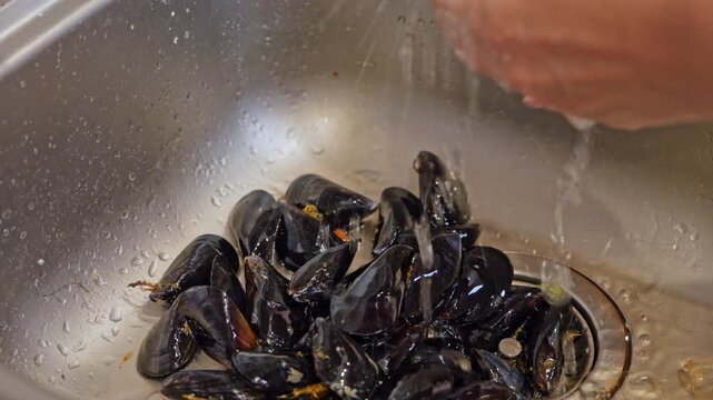 A person washes raw mussels in a steel sink under a stream of tap water, then scrubs the shells with a green sponge, a step of seafood preparation before cooking at home.