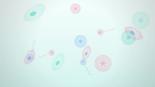 Pink Tissue Plankton Microorganisms Under Microscope, Seamless Loop Animated Background 4K