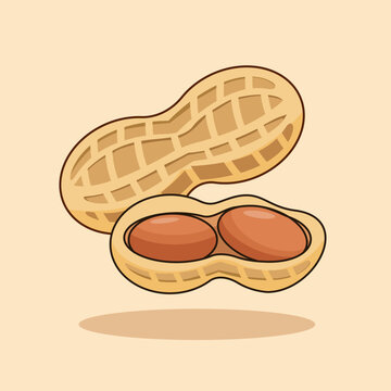 Illustrated Open Peanut with Two Kernels Isolated Vector Illustration Cartoon 