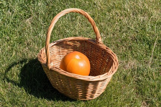 Wicker basket with orange gourd on grass