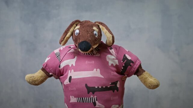 A brown stuffed toy dog wearing a pink shirt with dachshund and bone patterns tilts and nods its floppy ears in front of a textured gray concrete wall, a playful puppet performance.