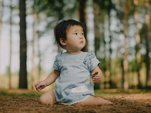Close portrait of a toddler girl in a blue dress in a sunlit pine forest