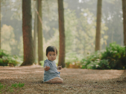 Small toddler standing alone in a sunlit pine forest clearing