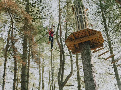 Child climbing high on a treetop ropes course among tall pine trees