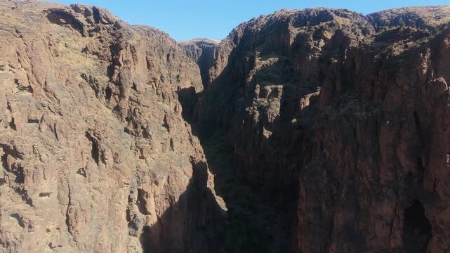 A wild common buzzard (aguililla) approaches and glides in front of the drone between the sheer volcanic cliff walls of Barranco Hondo, San Bartolome de Tirajana, Gran Canaria.