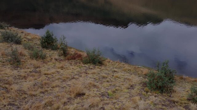 High-angle shot of dry grassy banks and native shrubs bordering a calm mountain lake in the Peruvian Andes. Highland lake reflection, peaceful remote wilderness, daytime travel documentary b-roll.