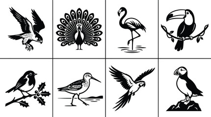Fototapeta premium Various exotic and garden birds illustrated in a detailed vintage woodcut style for nature projects