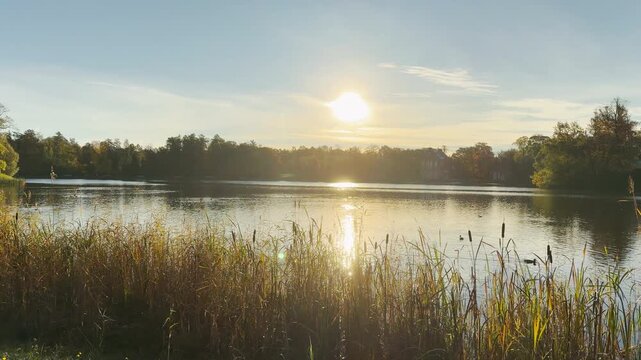 Tracking shot of an empty lake in Catherine Park, Pushkin, Saint Petersburg on gimbal. Smooth sideways camera movement creates peaceful, serene emotions.