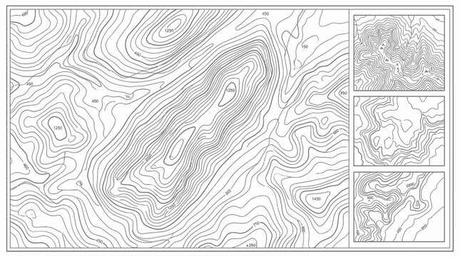 Topographic Map Contour Lines Isolated