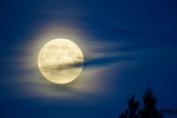 full moon over blue sky © eric