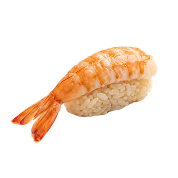 A close-up studio shot of a single ebi nigiri sushi, featuring a perfectly cooked shrimp draped over a bed of seasoned white rice, isolated on a white background.