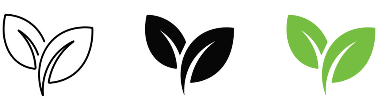 Leaf sprout icon vector set, green leaves plant eco logo symbol simple graphic illustration set, vegan fresh herb pictogram shape sign, organic natural healthy logotype png