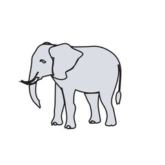 Fototapeta premium Simple Grey Elephant Line Illustration