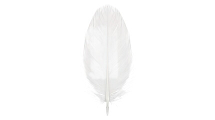 Close-up of a single white feather on black background © Ira