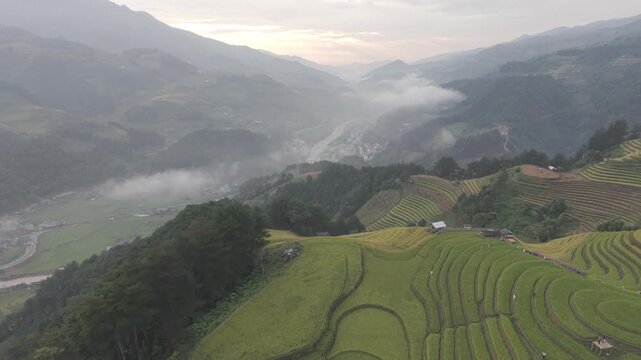 
Mu Cang Chai terraced fields