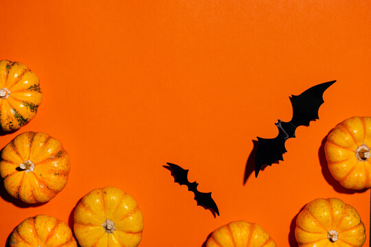 Halloween background texture framed with mini pumpkins and flying bats on orange backdrop. Spooky autumn season concept. Creative copy space template for festive holiday poster and banner