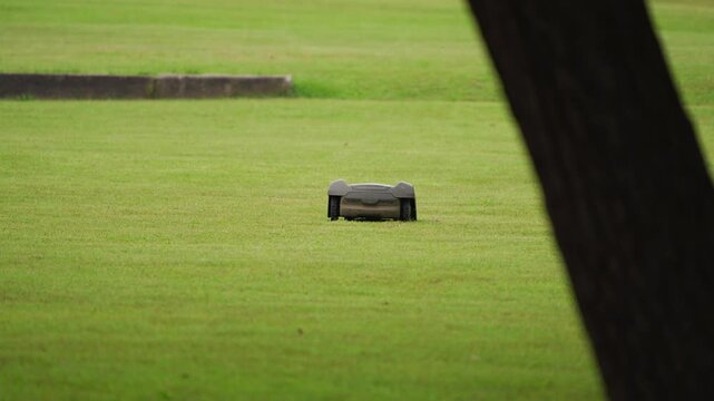 Robotic Lawn Mower Operating on Well Groomed Green Grass Field 4K