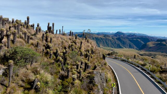 Nevado del Ruiz Mountain Road Winding Through Frailejones and Andean Paramo in Colombia. Establishing Shot. Aerial View.