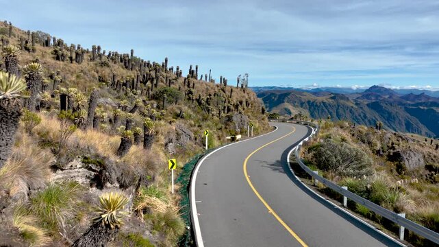 Nevado del Ruiz Mountain Road Winding Through Frailejones and Andean Paramo in Colombia. Establishing Shot. Aerial View.