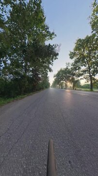 Vertical cycling POV on a quiet rural road lined with trees, captured during golden hour with warm sunlight, soft shadows and a peaceful countryside atmosphere.