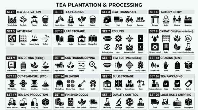 20 Tea Plantation and Processing Industry Vector Icon Set, Agriculture Production Factory Minimalist Monochrome Glyph Icons