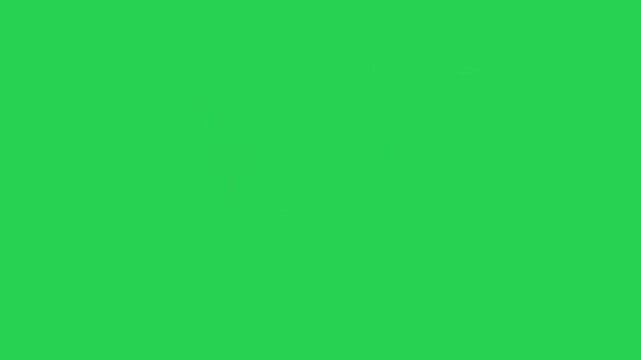 Black Friday Sale Animation with Shopping Icons and Graphic Elements
