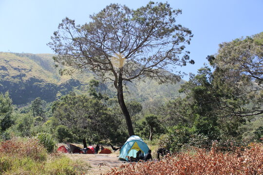 Enjoying the scenery while hiking Mount Merbabu in Central Java