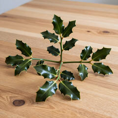 Fototapeta premium Christmas holiday decoration, fresh green holly leaves on a wooden table for winter seasonal festive background and traditional home interior design