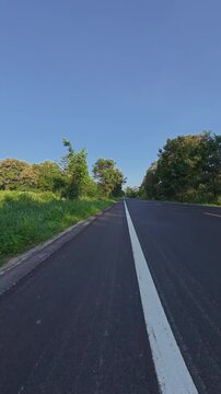 Vertical footage of a quiet rural road surrounded by lush green vegetation and trees, with clear blue sky and warm sunlight creating a peaceful countryside scene.