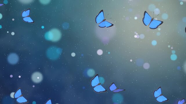 Vibrant blue morpho butterflies flutter across a dreamy, sparkling dark blue background filled with soft glowing bokeh lights, loopable animation