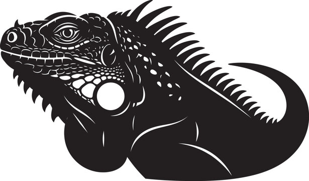 Detailed black and white line art illustration of a majestic iguana lizard isolated on white background