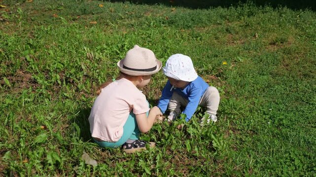 Cute Toddler Joins Older Sister Playing In Lush Park Grass Under Bright Sunlight. Little Siblings Wear Sun Hats While Exploring Plants Outdoors, Showing Joyful Sibling Bond During Playtime.
