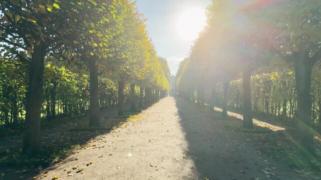 POV walkthrough of an empty autumn park in Catherine Park, Pushkin, Saint Petersburg shot on stabilizer. Smooth forward camera motion, no people. A peaceful, magical feeling fills the air.