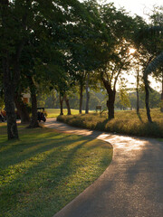Naklejka premium Curving Asphalt Path Through Lush Green Park with Sunlight
