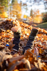 Fototapeta premium A young child plays buried in autumn leaves