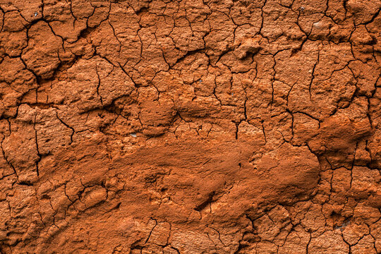 Close-up background of a rustic, sun-dried cracked mud wall made of traditional wattle and daub, showcasing detailed clay texture and earth tones in Brazil.