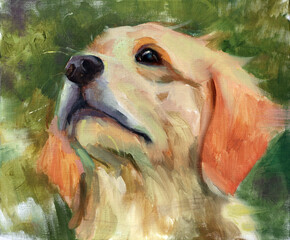 Ritratto artistico in primo piano di un cucciolo di cane Golden Retriever rivolto verso l'alto, dipinto ad olio in stile espressionista su sfondo verde © Ilarialapreziosa