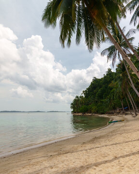 Palm-Lined Coconut Beach at Port Barton