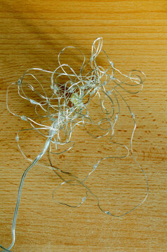 Tangled wires on a wooden surface create a complex pattern