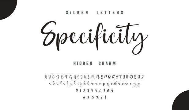 Hand drawn vector alphabet. Modern monoline signature script font. Elegant Signature Font. Best Alphabet Beautiful Calligraphy Signature Font