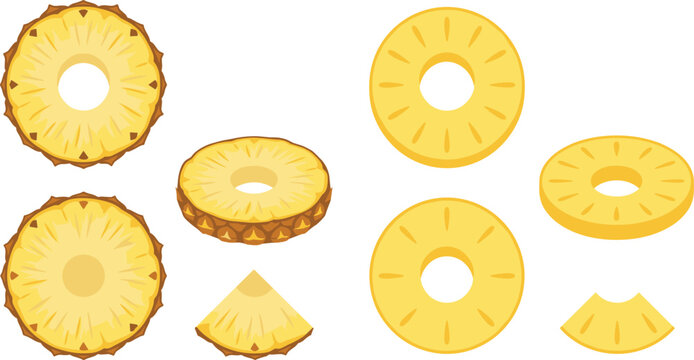 Pineapple slice collection featuring fresh rings, wedges, textured pieces, golden fruit, and tropical food vector illustrations