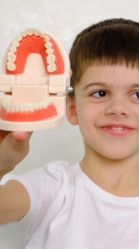 A child at the dentist with a model of a jaw. Selective focus.