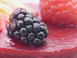 Macro of fresh blackberry on gourmet red berry tartlet © Dimitri