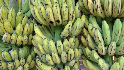 bunch of bananas © tusteldeny