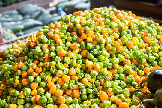 habanero chili peppers at a local market in Dar es Salaam, Tanzania. Colorful habanero chili peppers pile on display